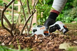 Afbeelding voor categorie Zagen en snoeien